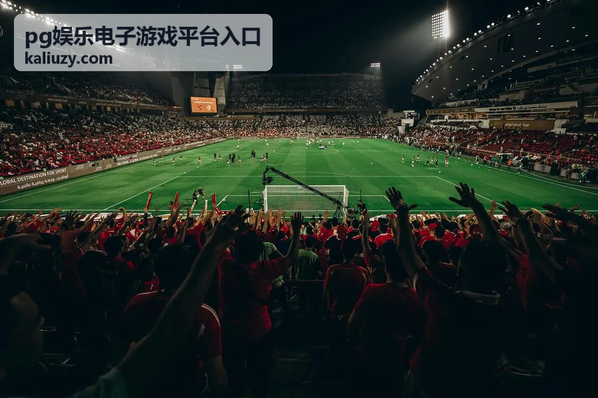 pg娱乐电子游戏平台入口说明文案更新封面