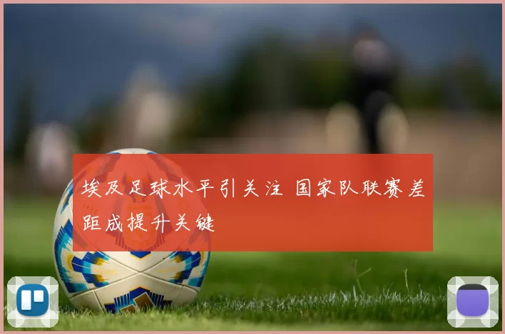 埃及足球水平引关注 国家队联赛差距成提升关键
