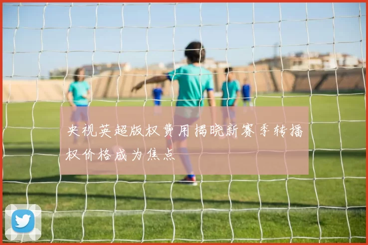 央视英超版权费用揭晓新赛季转播权价格成为焦点