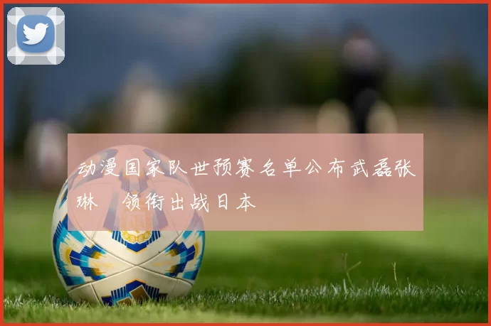 动漫国家队世预赛名单公布武磊张琳芃领衔出战日本