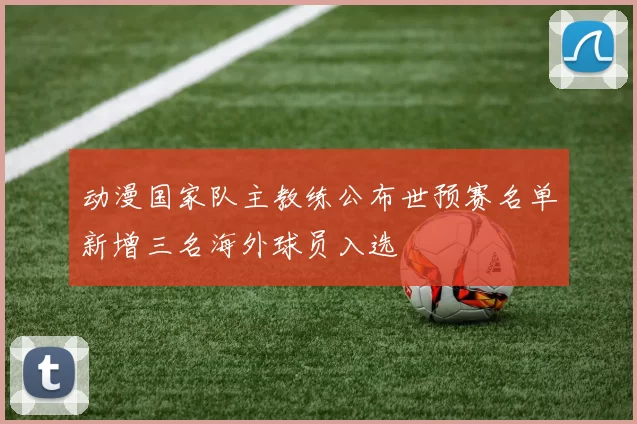 动漫国家队主教练公布世预赛名单新增三名海外球员入选