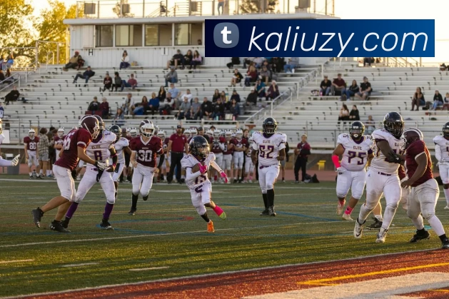 星空体育首页官方网站APP 封面图